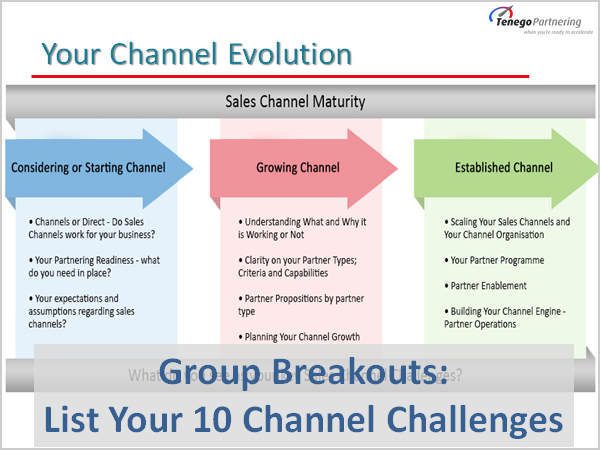 Mow2 sale partner. Sales channels. Direct sales channel. Partner sales. Key Challenges.